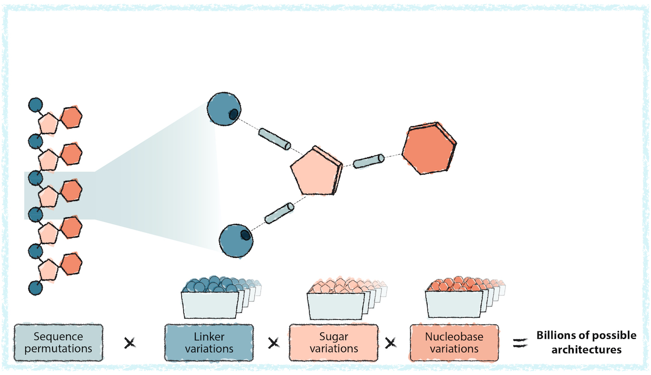 A scientific schematic of single-stranded RNA is on the far left. In the middle, a zoomed-in single nucleotide shows a hexagonal base, a pentagonal base, and two linkers. A collection of buckets below each piece show a vast multitude of linker, sugar, and nucleobase variations receding into the distance.